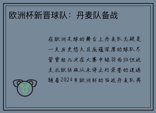 欧洲杯新晋球队：丹麦队备战